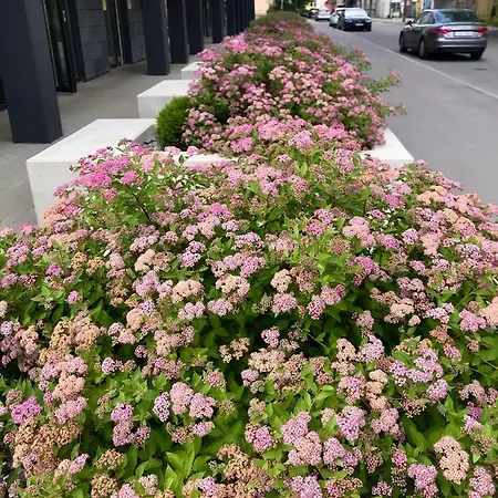 Апартаменты Cozy - Center